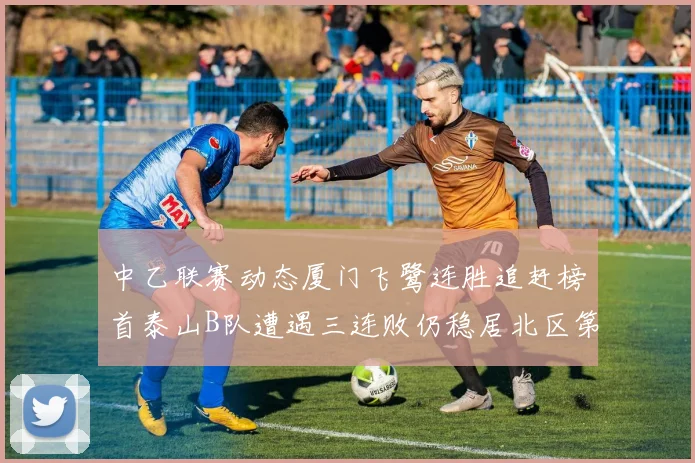 中乙联赛动态厦门飞鹭连胜追赶榜首泰山B队遭遇三连败仍稳居北区第三